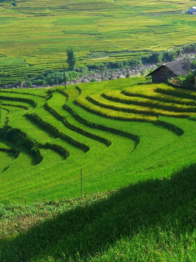 Hmong Sister House And Trekking Διαμέρισμα Sapa Εξωτερικό φωτογραφία