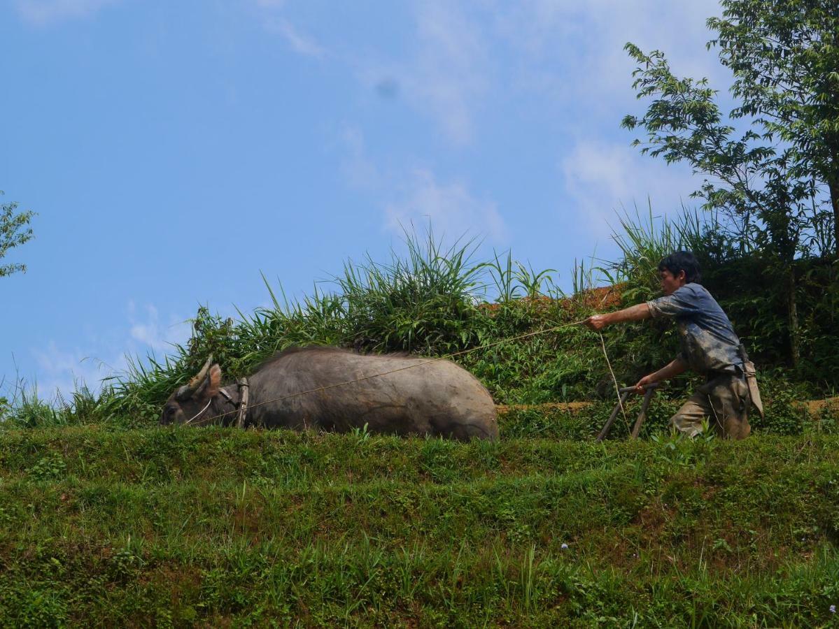 Hmong Sister House And Trekking Διαμέρισμα Sapa Εξωτερικό φωτογραφία